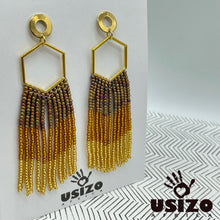 Load image into Gallery viewer, Hex Tassel Earrings